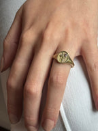 THE FEBRUARY BIRTH FLOWER AND STONE RING - VIOLET AND AMETHYST