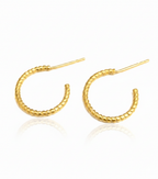 GOLDEN HARMONY HOOP EARRINGS